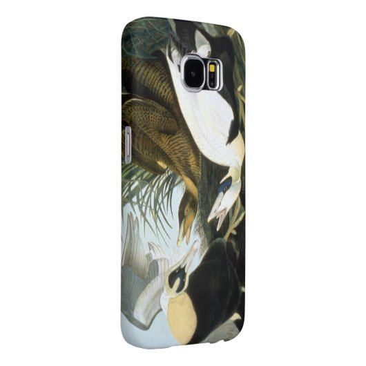 Audubon: Eider Duck Case-Mate Samsung Galaxy Hoesje (Back/Rechts)
