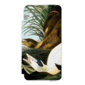 Audubon: Eider Duck Incipio iPhone Portemonnee Hoesje (Voorkant Agenda)