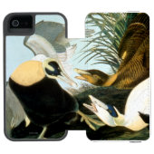 Audubon: Eider Duck Incipio iPhone Portemonnee Hoesje (Agenda Open)