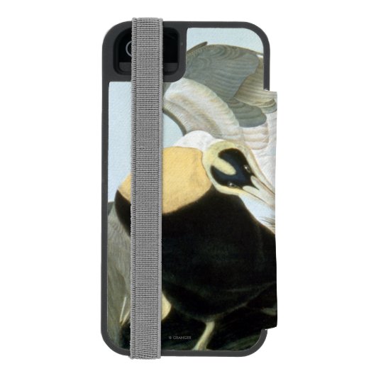 Audubon: Eider Duck Incipio iPhone Portemonnee Hoesje (Agenda Achterkant)