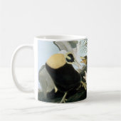 Audubon: Eider Duck Koffiemok (Links)