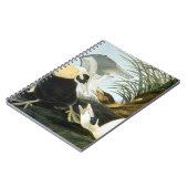 Audubon: Eider Duck Notitieboek (Linkerzijde)