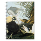 Audubon: Eider Duck Notitieboek (Voorkant)