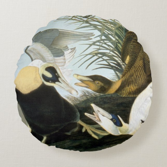 Audubon: Eider Duck Rond Kussen (Voorkant)