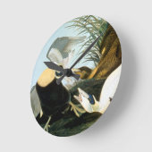 Audubon: Eider Duck Ronde Klok (Hoek)
