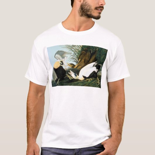 Audubon: Eider Duck T-shirt (Voorkant)