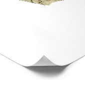 Audubon Eksters Vogel Poster (Hoek)