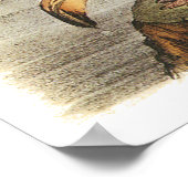 Audubon Flamingo Poster (Hoek)