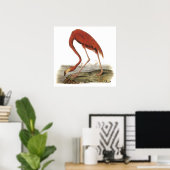 Audubon Flamingo Poster (Thuiskantoor)