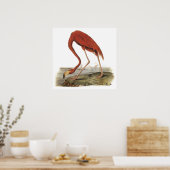 Audubon Flamingo Poster (Keuken)
