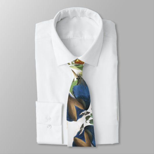 Audubon Florida Jay Birds Wildlife Animal Stropdas (Gebonden)