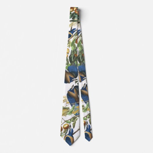 Audubon Florida Jay Birds Wildlife Animal Stropdas (Voorkant)