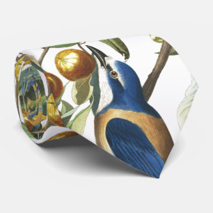 Audubon Florida Jay Birds Wildlife Animal Stropdas