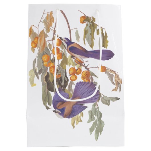 Audubon Florida Scrub Jay Bird op Oranje bomen Medium Cadeauzakje (Achterkant)