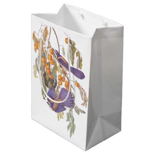 Audubon Florida Scrub Jay Bird op Oranje bomen Medium Cadeauzakje (Achterkant Gekanteld)