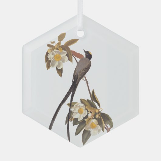 Audubon Fork-Tailed Flycatcher Bird  Art Glas Ornament (Voorkant)