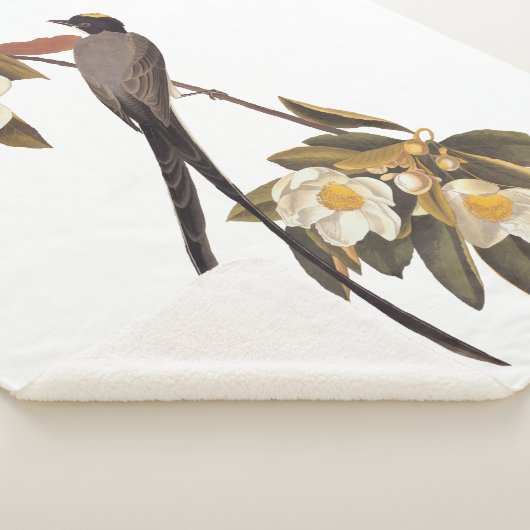 Audubon Fork-Tailed Flycatcher Bird  Art Sherpa Deken (3/4)