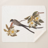 Audubon Fork-Tailed Flycatcher Bird  Art Sherpa Deken (Voorkant (horizontaal))