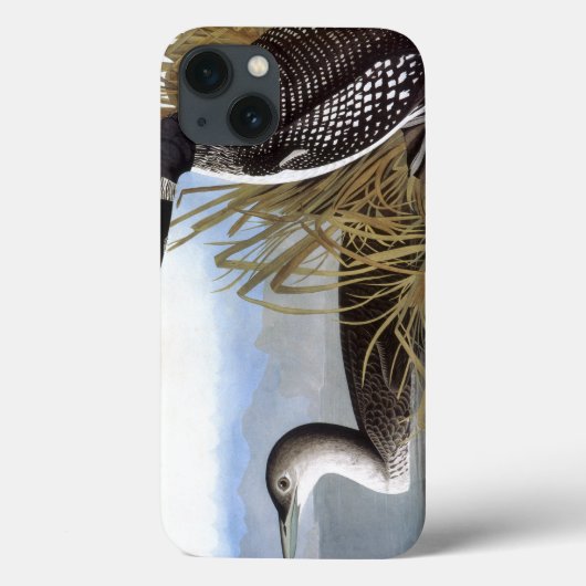 Audubon: Gemeenschappelijke Duiker Case-Mate iPhone Case (Achterkant)