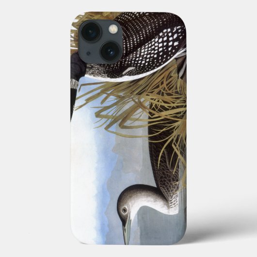 Audubon: Gemeenschappelijke Duiker Case-Mate iPhone Case (Achterkant)