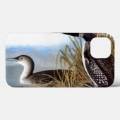 Audubon: Gemeenschappelijke Duiker Case-Mate iPhone Case (Achterkant (horizontaal))