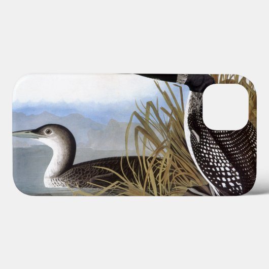 Audubon: Gemeenschappelijke Duiker Case-Mate iPhone Case (Achterkant (horizontaal))