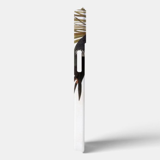 Audubon: Gemeenschappelijke Duiker Case-Mate iPhone Case (Achterkant / Rechts)