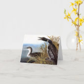 Audubon: Gemeenschappelijke Duiker Kaart (Gele Bloem)