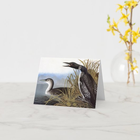 Audubon: Gemeenschappelijke Duiker Kaart (Gele Bloem)