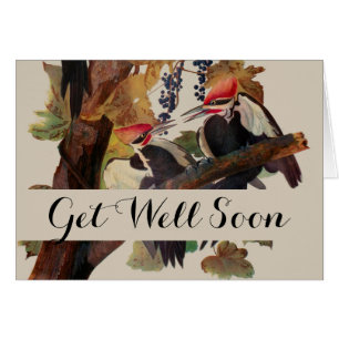 Audubon gepileerde specht vogelschilderij