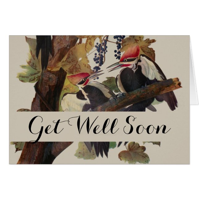 Audubon gepileerde specht vogelschilderij (Voorkant Horizontaal)