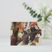 Audubon gepileerde specht vogelschilderij briefkaart (Staand voorkant)