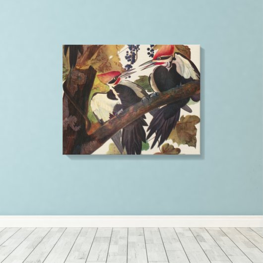 Audubon gepileerde specht vogelschilderij canvas afdruk (Insitu (Houten vloer))
