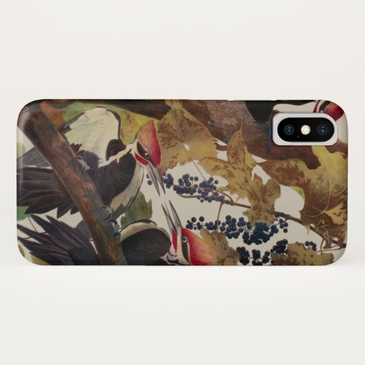 Audubon gepileerde specht vogelschilderij Case-Mate iPhone case (Achterkant (horizontaal))