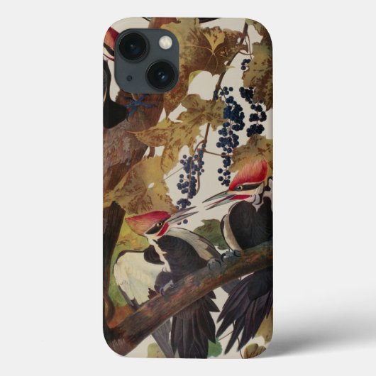 Audubon gepileerde specht vogelschilderij Case-Mate iPhone case (Achterkant)