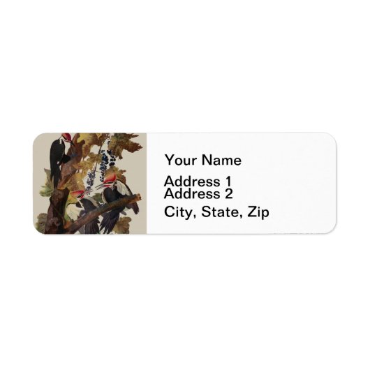 Audubon gepileerde specht vogelschilderij etiket (Voorkant)