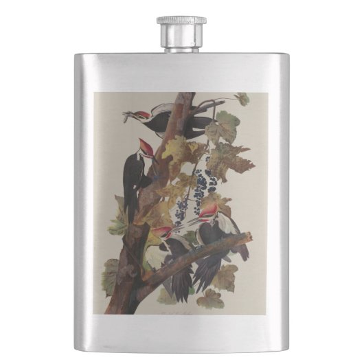 Audubon gepileerde specht vogelschilderij flacon (Voorkant)