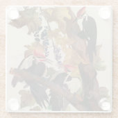 Audubon gepileerde specht vogelschilderij glazen onderzetter (Achterkant)