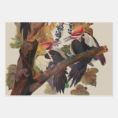 Audubon gepileerde specht vogelschilderij inpakpapier vel (Voorkant)