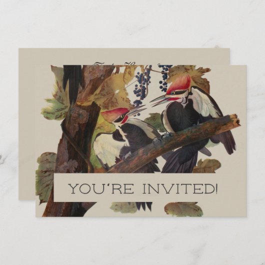 Audubon gepileerde specht vogelschilderij kaart (Voorkant / Achterkant)