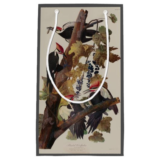 Audubon gepileerde specht vogelschilderij klein cadeauzakje (Voorkant)