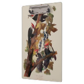 Audubon gepileerde specht vogelschilderij klembord (Links)