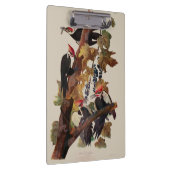 Audubon gepileerde specht vogelschilderij klembord (Rechts)