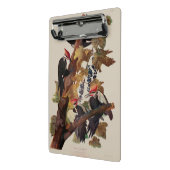 Audubon gepileerde specht vogelschilderij mini klembord (Angled2)