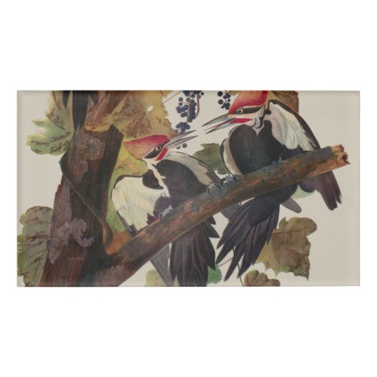 Audubon gepileerde specht vogelschilderij naambadge (Voorkant)