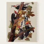 Audubon gepileerde specht vogelschilderij planner (Achterkant)
