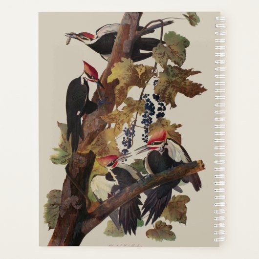 Audubon gepileerde specht vogelschilderij planner (Achterkant)