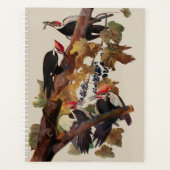 Audubon gepileerde specht vogelschilderij planner (Voorkant)