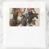 Audubon gepileerde specht vogelschilderij rechthoekige sticker (Tas)