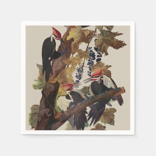 Audubon gepileerde specht vogelschilderij servet (Voorkant)